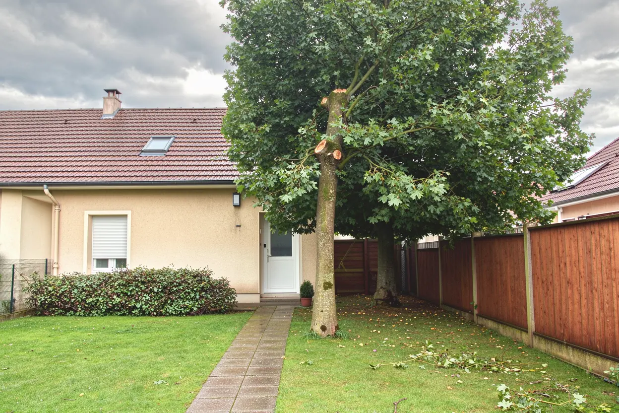 Jardin sécurisé après dépose d'une branche à Kingersheim