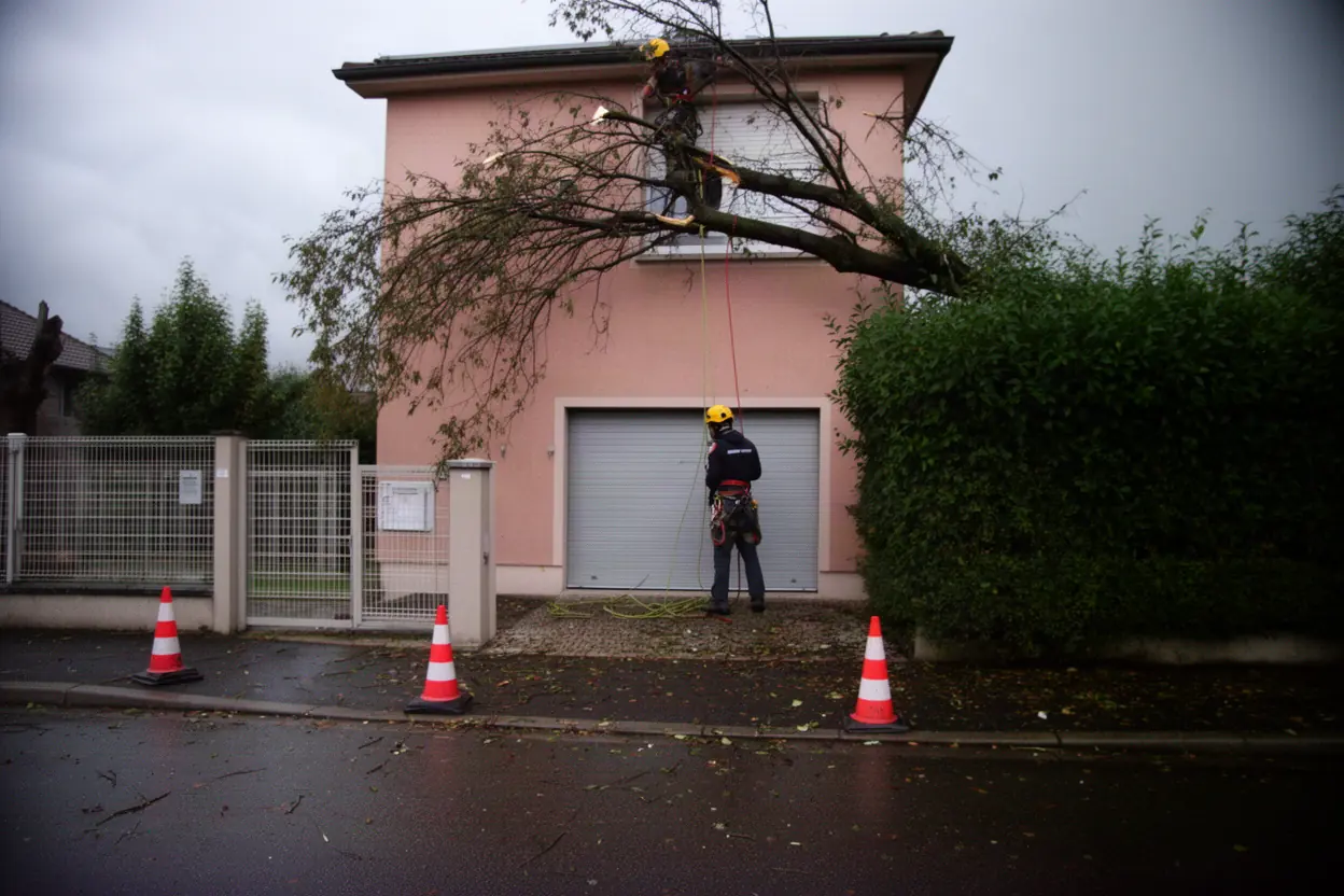 Élagueur sécurisant une branche cassée après tempête à Mulhouse