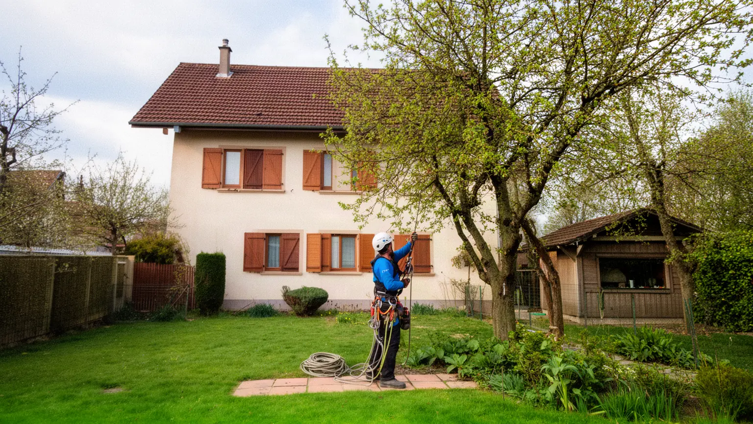 Élagueur professionnel à Lutterbach et agglomération mulhousienne